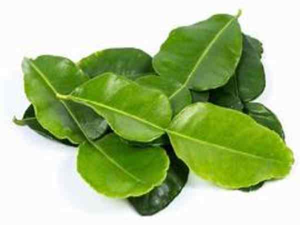 Cách sử dụng lá chanh hiệu quả tại nhà công dụng lá chanh