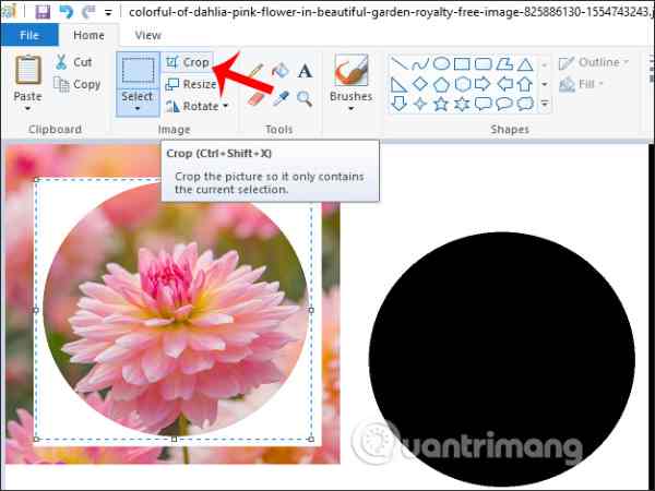 cắt ảnh trong paint cắt ảnh trong paint
