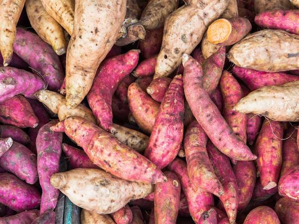 nhung-tac-dung-cua-khoai-lang-khien-ban-phai-bat-ngo