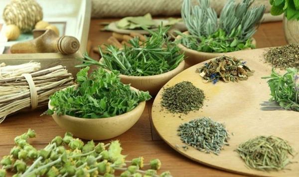 Lưu ý khi sử dụng thảo dược