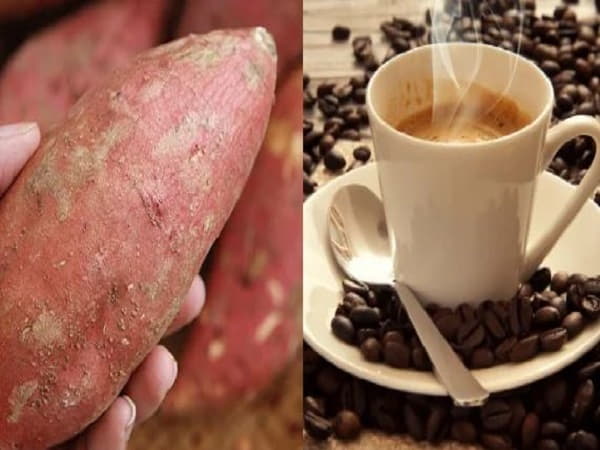 Thành phần dinh dưỡng của khoai lang và cà phê