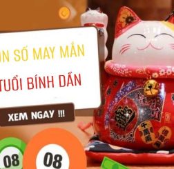 Phân tích con số may mắn tuổi Bính Dần siêu chính xác