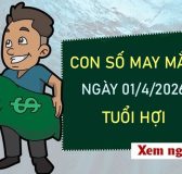Đi tìm con số may mắn 1/4/2026 của tuổi Hợi hôm nay